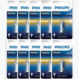 12V ALKALINE 10 PACK