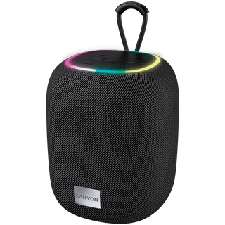 CANYON SPEAKER BSP-8 10W BLACK