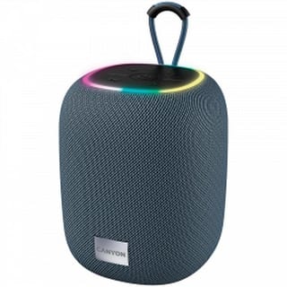 CANYON SPEAKER BSP-8 10W GRAY