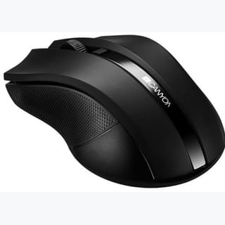 WLESS: MSE BLK