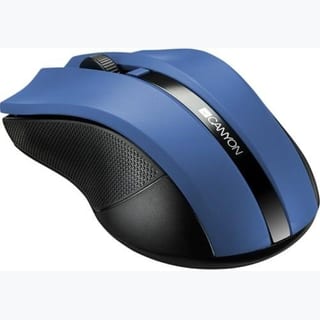 WLESS: MSE BLUE