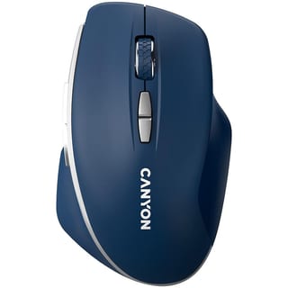 WLESS: MSE BLUE