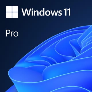 WIN  11: PROFESSIONAL 64BIT