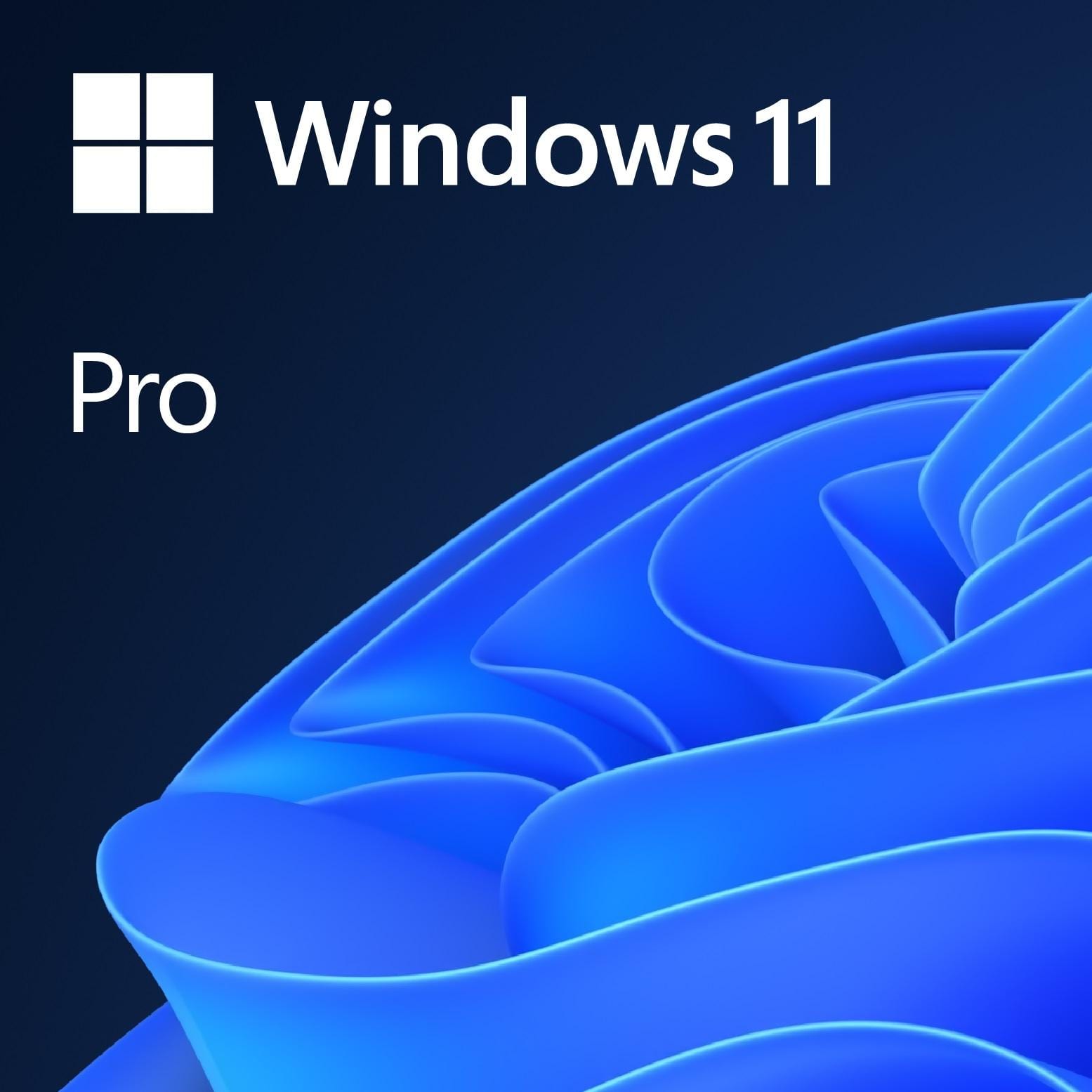 WIN 11: PROFESSIONAL 64BIT