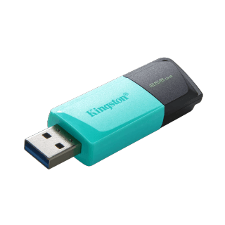 Kingston DataTraveler Exodia M 256GB USB3.2 Gen1 Type-A Flash Drive