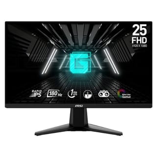 25" FHD IPS 1MS