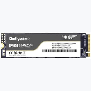 M.2  NVME     256GB (WO DRAM)