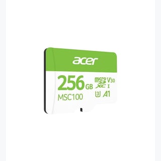 MSD CL10: 256GB