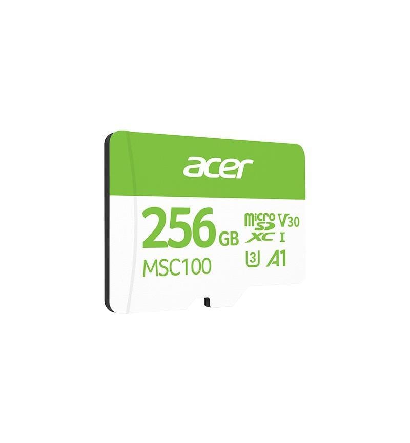 MSD CL10: 256GB