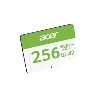 MSD CL10: 256GB