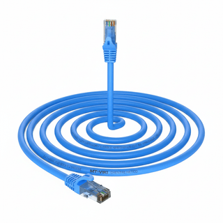 CAT6     5M BLUE