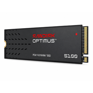 M.2  NVME   1000GB