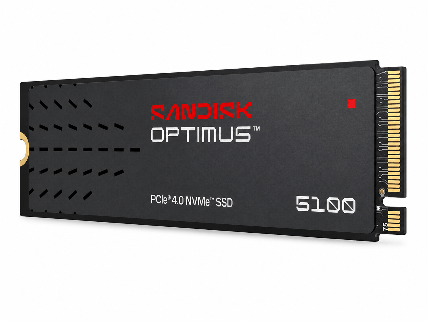 M.2 NVME 1000GB