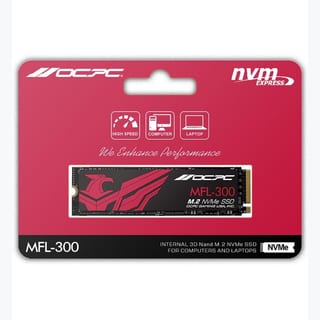 MFL-300 1TB GEN3 M.2 NVME SSD