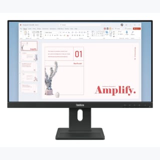 Lenovo ThinkVision E24-40 23.8in Monitor
