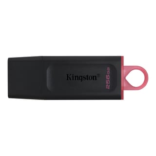 Kingston 256GB USB3.2 Gen1 Exodia