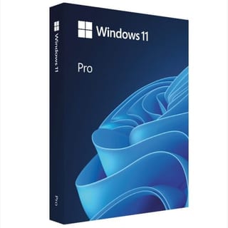 Microsoft Windows11 Pro - FPP 64-Bit USB